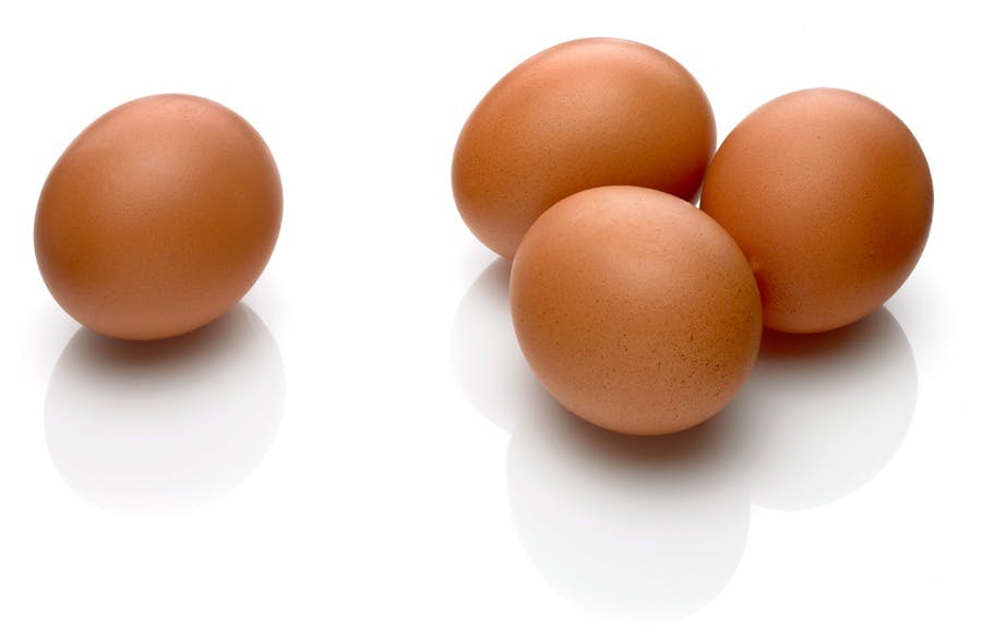 Egg